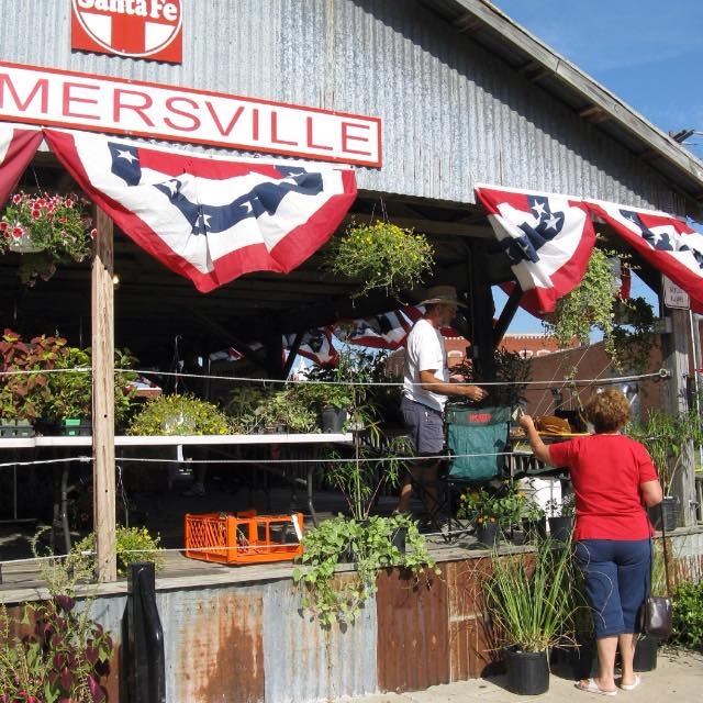 Farmersville Farmers & Fleas Market - Farmersaville, TX  75442